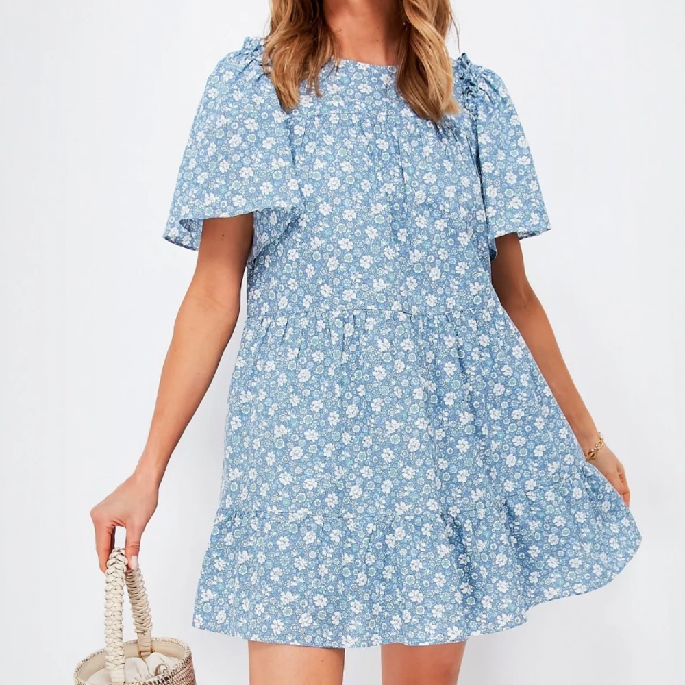 Hyacinth House Mini Dress - Tuckernuck Blue and White floral Romy dress